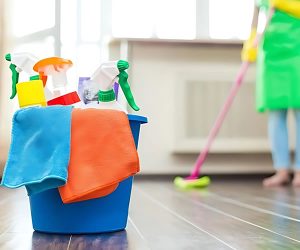 Read more about the article दीपावली के पहले साफ सफाई करके चमका दें अपना घर. गंदा घर देख दरवाजे से ही लौट जाएंगी माता लक्ष्मी